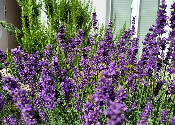 Apartman Gartenblick Mit Terrasse *